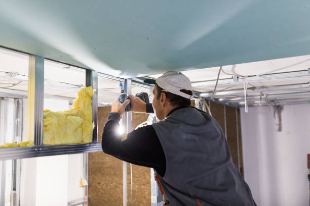 Best Garage Insulation Installation  in Le Sueur, MN