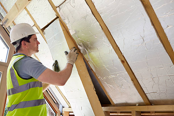 Insulation Replacement Services in Le Sueur, MN