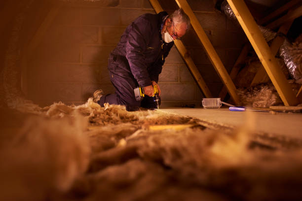 Best Soundproof Insulation Installation  in Le Sueur, MN